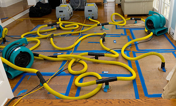 Professional Crawl Space Water Removal technician working in Oak Grove, TN